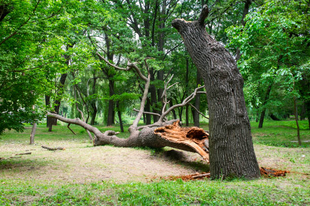 Best Landscape Design and Installation  in The Hideout, PA