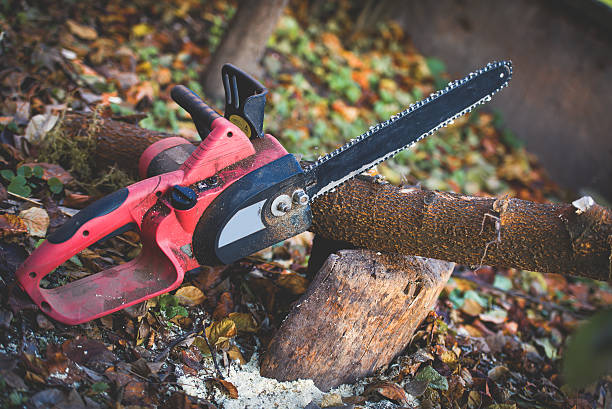 Best Tree Removal  in The Hideout, PA